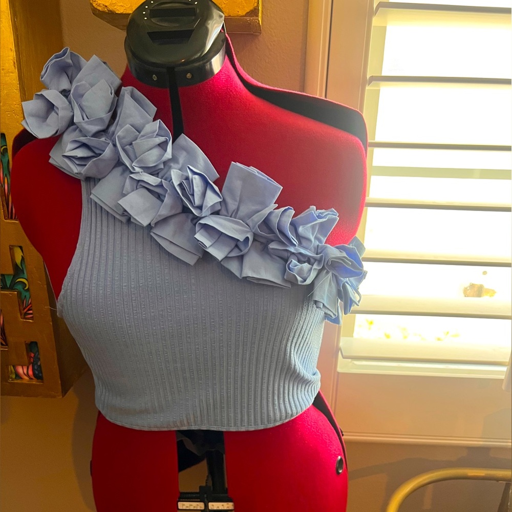 Zara Light Blue Floral One-Shoulder Crop Top